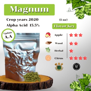 สินค้า Magnum Hops (1oz) Crop years 2020 (บรรจุด้วยระบบสูญญากาศ)