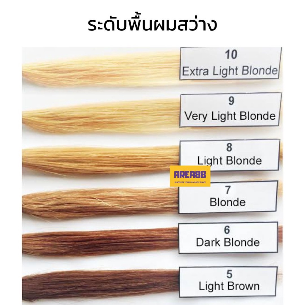 ครีมเปลี่ยนสีผม-สีน้ำตาลหม่นเทา-สีผมสีน้ำตาลหม่นประกายเทา-สีผมสีน้ำตาลประกายเทา-สีผมสีแอชบราวน์-สีน้ำตาลธรรมชาติหม่น-สีผ