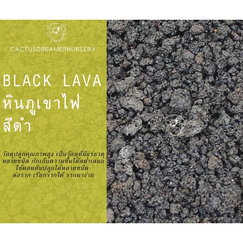 ลด50-ใส่โค้ดincs83l-หินภูเขาไฟสีดำ-black-lava