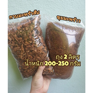 มะพร้าวสับ กาบมะพร้าวสับ ขุยมะพร้าว กาบมะพร้าวไม่มีเปลือก สุดคุ้ม เเคคตัส ต้นไม้ฟอกอากาศ ฟิโลเดรนดรอน
