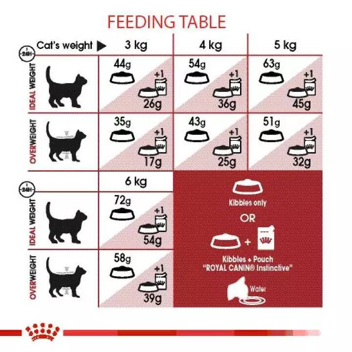 royal-canin-regular-fit32-4kg-ราคาพิเศษค่ะขนส่งตามระบบเลือกให้ค่ะ