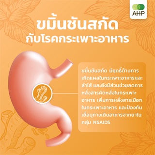 ภาพขนาดย่อของภาพหน้าปกสินค้าขมิ้นชันสกัดพลัส Turmeric Extract Plus (โรคกระเพาะอาหาร, กรดไหลย้อน, อาการปวดข้อ) curcuma, curcuminiod จากร้าน ahp_herbal บน Shopee ภาพที่ 6