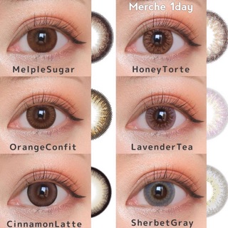 Contactlens คอนแทคเลนส์ญี่ปุ่น รายวัน Merche