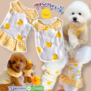 สินค้า 🇹🇭พร้อมส่งจ้า🇹🇭 💞🐥🐤 ชุดคู่ลายลูกเป็ด เสื้อ&เดรส แต่งคอบัวลายสก็อตเหลือง For PET เสื้อสุนัข ชุดหมา ชุดแมว