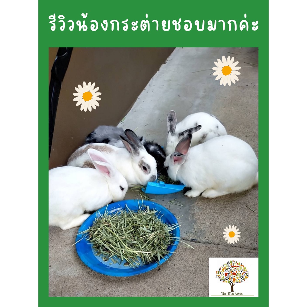 พร้อมส่ง-หญ้าทิโมธี-ซุปเปอร์แอนเดอร์สัน-เฮย์-พรีเมี่ยม-1-กิโลกรัม-timothy-super-anderson-hay-premium