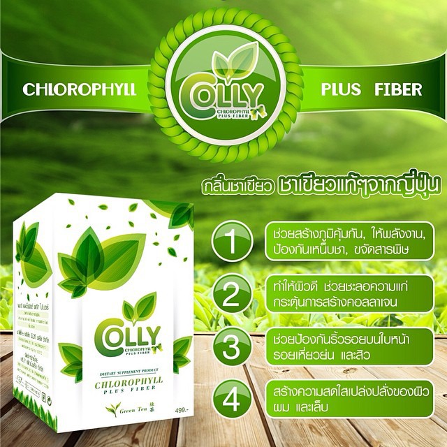 colly-chlorophyll-powder-detox-ไฟเบอร์-ใยอาหารสูง-อาหารเสริมคลอโรฟิลล์-คอโรฟิว-ดีท็อกซ์-คอโรฟิล-ชนิดชง-ผง-ชงดื่ม-ชงน้ำ