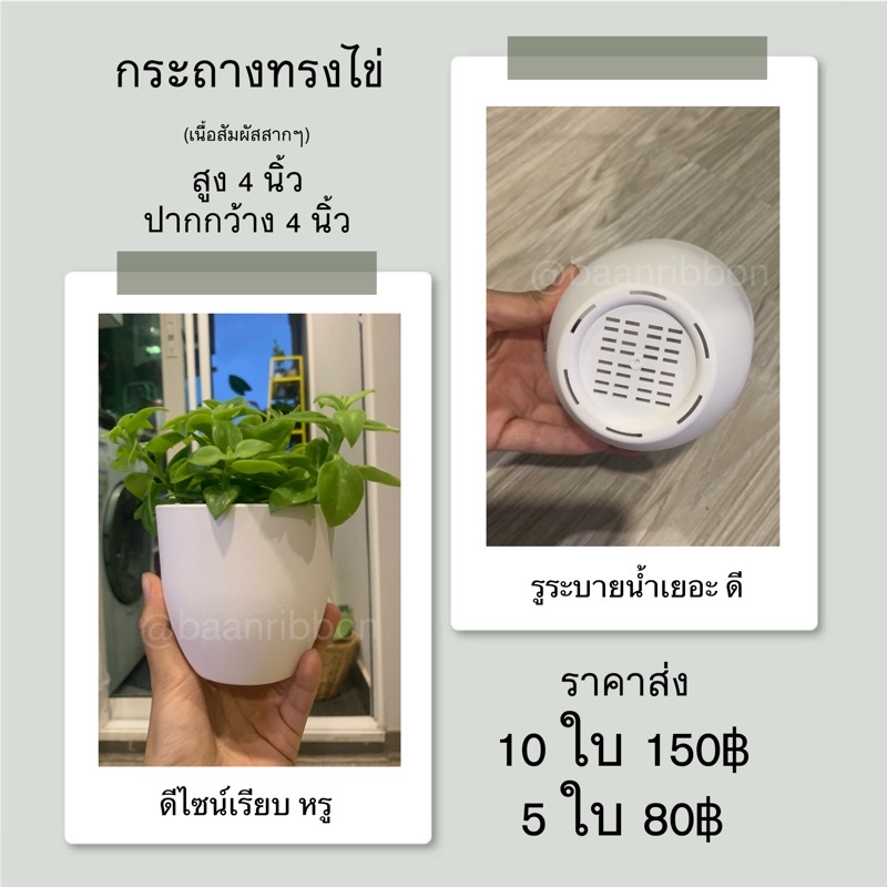 กระถางต้นไม้รูปรูปไข่-มินิมอล