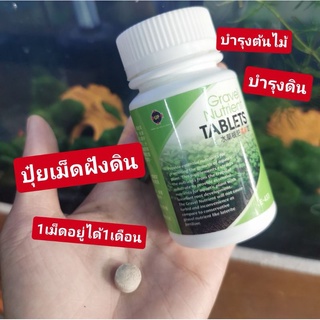 ภาพหน้าปกสินค้าปุ๋ยเม็ด​ ฝังดินบ​ำรุงไม้น้ำ​ บำรุงดิน🌿🌱ซื้อ2แถม1เม็ดไม่อันตรายต่อสัตว์​น้ำ ที่เกี่ยวข้อง