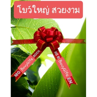 โบว์กลมสีแดงสวยงามขนาด1 ม.