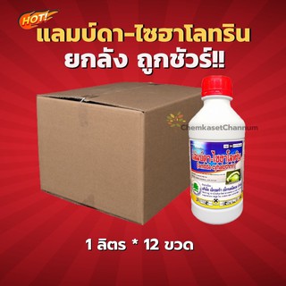 แลมบ์ดา-ไซฮาโลทริน สูตรเย็น ฉีดผ่าดอกได้-ยกลัง(1 ลิตร*12 ขวด) =ชิ้นละ 140 บาท