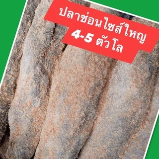ปลาร้าช่อนไซส์ใหญ่สิงห์บุรี 1 กก. 4-5 ตัว ใช้ทอด หลน สับ ได้ การันตีความหอมข้าวคั่ว ไม่เค็มมาก ใหม่ มีหน้าร้าน พร้อมส่ง photo