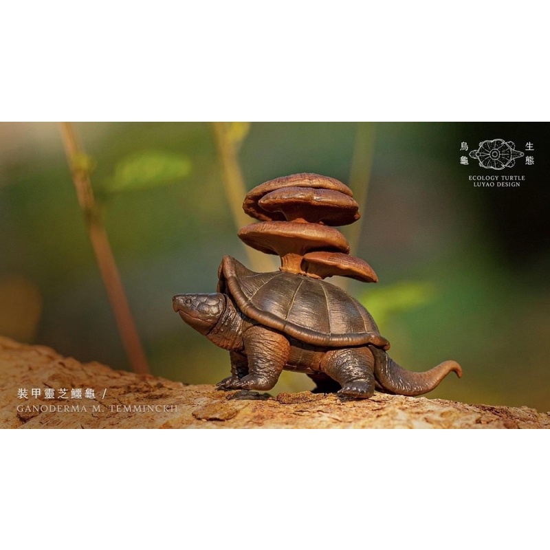 gashapon-ecology-turtle-เต่าหลังเห็ด-เต่าทะเลหลังปะการัง