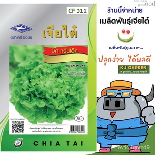 เมล็ดอวบอ้วน100%CHIATAI  ผักซอง เจียไต๋ F011#บิ๊กกรีนโอ๊ค F1 เมล็ดพันธุ์ผัก บิ๊กกรีน สลัด เมล็ดผัก เมล็ดพืช ผักสวนครัวเม