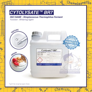 CYTOLYSATE BR7 (Streptococcus Thermophilus Lysate) โปรไบโอติกจากโยเกิร์ต ช่วยบำรุงผิวให้กระจ่างใส