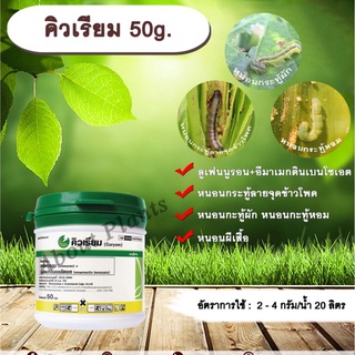 คิวเรียม 50g. ลูเฟนนูรอน อีมาเมกตินเบนโซเอต ชนิดเกล็ด สารกำจัดแมลง สารกำจัดหนอน หนอนกระทู้ข้าวโพดลายจุด