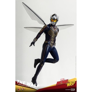 🚛 สินค้าพร้อมส่ง​ HOT TOYS MMS498 ANT-MAN AND THE WASP - THE WASP