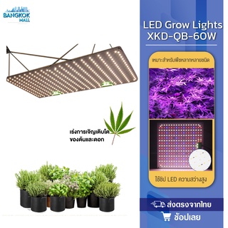 LED Grow Light ไฟปลูกกัญชา ไฟปลูกต้นไม้แบบคลิปหนีบ ไฟโซล่าเซล ไฟตกแต่งสวน ไฟทางเดิน ไฟสนามหญ้า