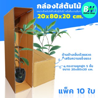 กล่องลูกฟูก 5 ชั้น 20.00x80.00x20.00cm (กล่องใส่ต้นไม้) (แพ็ค 10) กล่องกระดาษลูกฟูก ลังกระดาษ กล่องลัง กล่องกระดาษ