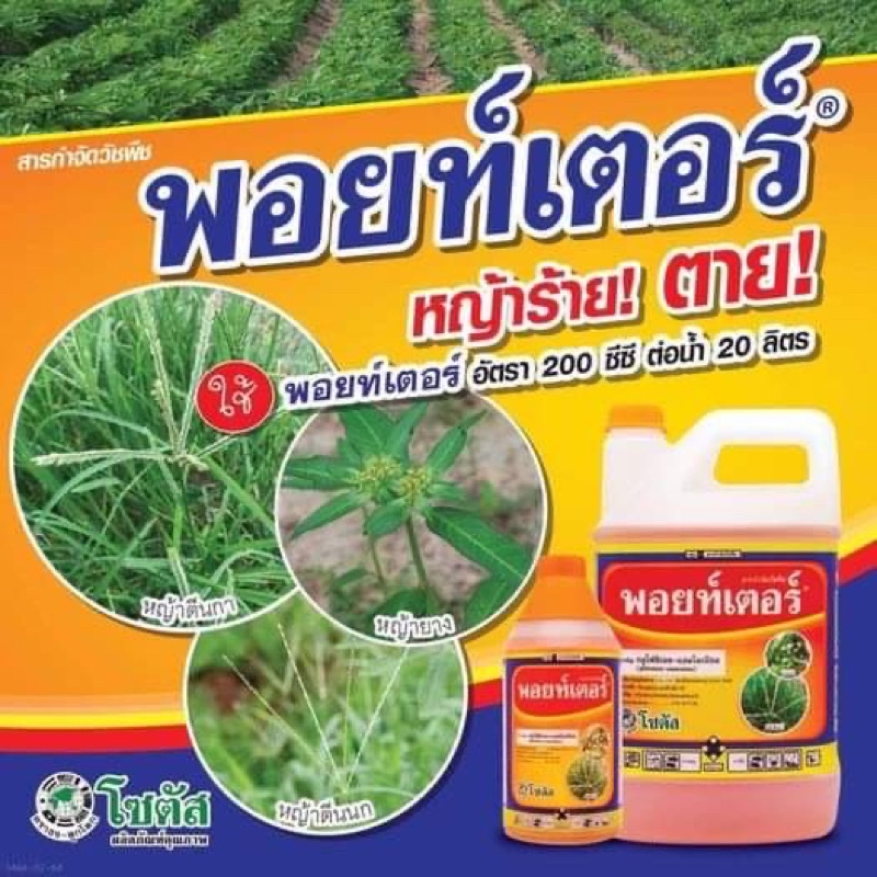 พอยท์เตอร์-ขนาด-4-ลิตร-สารกลูโฟซิเนต-แอมโมเนียม