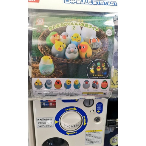 parrot-cockatiel-lovebird-etc-gashapon-8-eggs-โมเดลนกแก้ว-ค๊อกคาเทล-มีไฟ