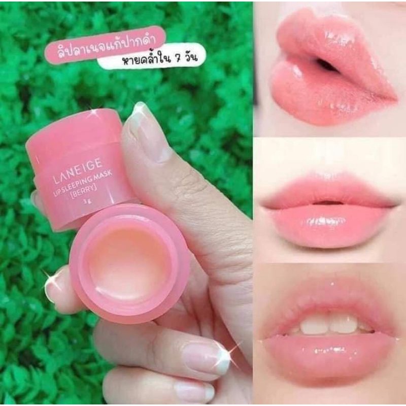 ลิปลาเนจ Laneige Lip Sleeping Mask Shopee Thailand