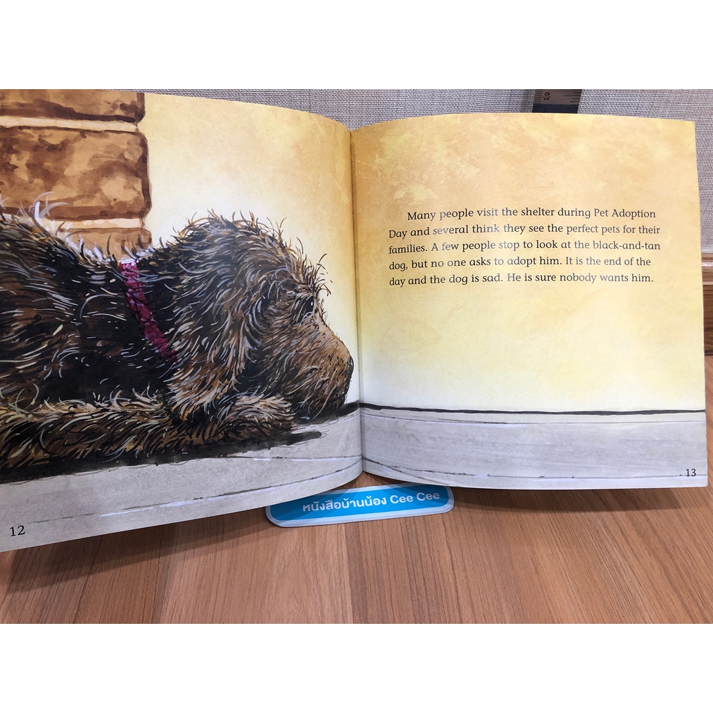 หนังสือนิทานภาษาอังกฤษ-ปกอ่อน-pet-tales-includes-a-read-along-cd-patches-finds-a-home