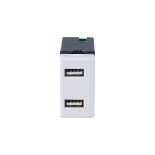 เต้ารับ USB 2 ช่อง AP-USB2 HACO | HACO | AP-USB2 อุปกรณ์ไฟฟ้า  อุปกรณ์ไฟฟ้า