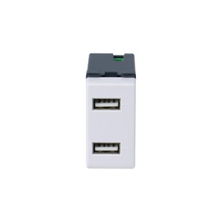 เต้ารับ USB 2 ช่อง AP-USB2 HACO | HACO | AP-USB2 อุปกรณ์ไฟฟ้า  อุปกรณ์ไฟฟ้า