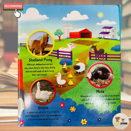 farm-explorers-หนังสือภาษาอังกฤษเด็กจากต่างประเทศ-เกี่ยวกับสัตว์ต่างๆในฟาร์ม-boardbook-ปกแข็ง-กระดาษแข็งทุกหน้า