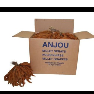 ANJOU มิลเล็ตสเปรย์ฝรั่งเศส 500g.