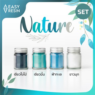 ชุดสีผสมเรซิ่นอิงสีจากธรรมชาติ (ส่งฟรี) สุดคุ้ม! Nature SET เมทัลลิคประกาย สีสด ใช้กับเรซิ่นทุกชนิด -Easy Resin