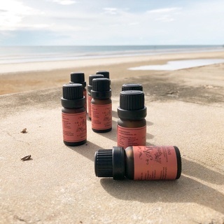 aroma-amp-more-clear-essential-oil-100-blend-น้ำมันหอมระเหยสูตรผสมเพื่อกลิ่นหอมสดชื่น-สะอาด-โล่งสบาย-100ml
