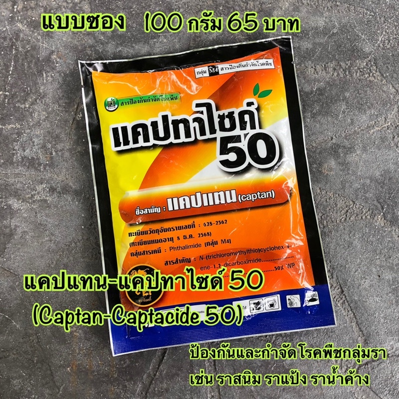 แคปแทน-แคปแทนไซด์50-สารเคมีป้องกันและกำจัดโรคพืชที่เกิดจากเชื้อรา