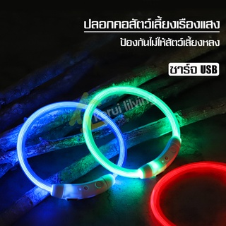 ปลอกคอสัตว์เลี้ยง ปลอกคอไฟกระพริบ ฟรีสายชาร์จ USB ปลอกคอ Collar สำหรับสุนัข แมว ปลอกคอหมา ปลอกคอแมว S M L มี 5 สี