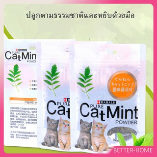 ผงแคทนิป &amp; ผงมาทาทาบิ ซองซิบ "พลาสติก"  ของแท้ 100% โรยของเล่นแมว 5g (พร้อมส่ง) ลูกบอลแมว Catnip