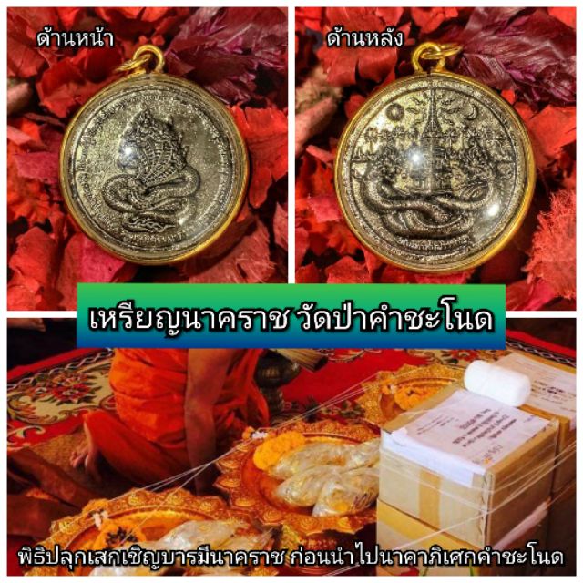 เหรียญนาคราช-วัดป่าคำชะโนด-จ-อุดรธาดี