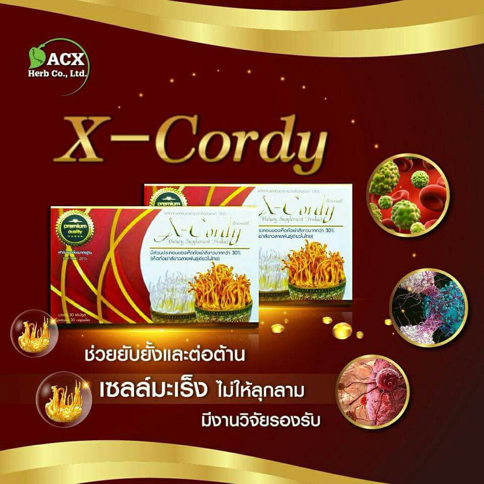 x-cordy-เอ็กซ์-คอร์ดี้-อาหารเสริมจากเห็ด-ถั่งเช่า-แท้-100-x-cordy-เอ็กซ์-คอร์ดี้