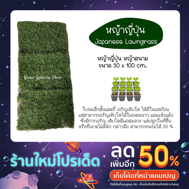 green-galaxy-new-store-โปรแรงๆ-หญ้าญี่ปุ่น-หญ้าสนาม-50x100cm-japanese-lawngrass-หญ้าสด-หญ้าจริงพร้อมปลูกจากไร่