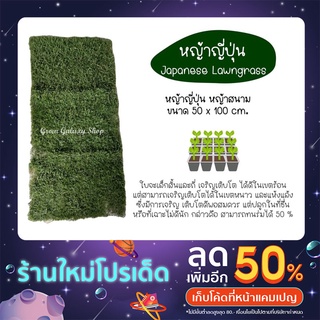 Green Galaxy ☘️ 🔥New store โปรแรงๆ🔥หญ้าญี่ปุ่น หญ้าสนาม 50x100cm.Japanese Lawngrass หญ้าสด หญ้าจริงพร้อมปลูกจากไร่