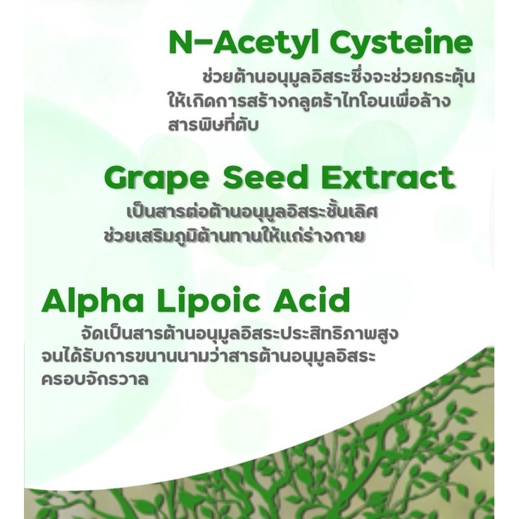 daily-immune-เสริมภูมิต้านทานให้แข็งแรง