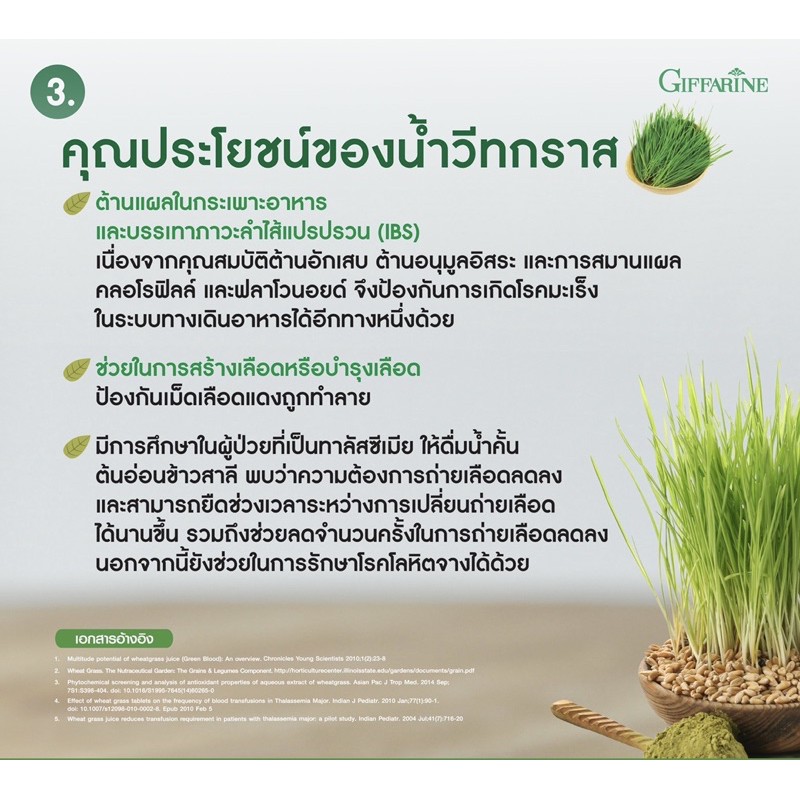 ส่งฟรี-กิฟฟารีน-วีทกราส-วีทกลาส-wheat-grass-giffarine-กิฟฟารีน-ต้นอ่อนข้าวสาลี