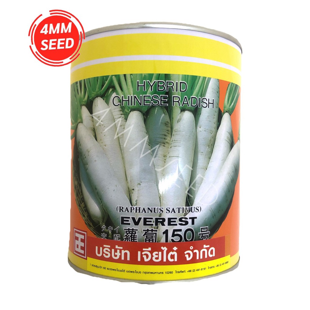 เมล็ดพันธุ์-ผักกาดหัวเอเวอร์เรส-พิเศษ-450-กรัม