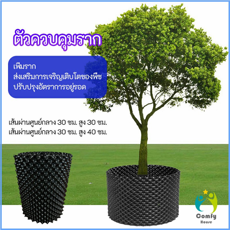 comfy-กระถางเร่งรากโต-กระถางมีรู-มี-2-ขนาด