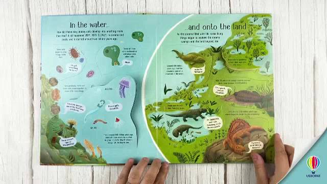 new-see-inside-evolution-boardbook-by-emily-boneillustrated-by-ana-sender