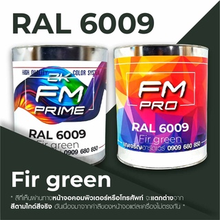 สี RAL6009 / RAL 6009 Fir Green --- (ราคาต่อลิตร)