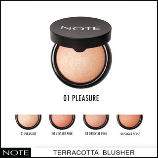 NOTE COSMETICS TERRACOTTA BLUSHER 01 PLEASURE