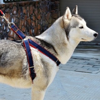 ภาพหน้าปกสินค้า#N034 สายจูงสุนัข สายรัดอก ผ้ายีนส์  Dog Jeans Harness with leash  สายจูงสัตว์เลี้ยง สายจูงแมว ที่เกี่ยวข้อง