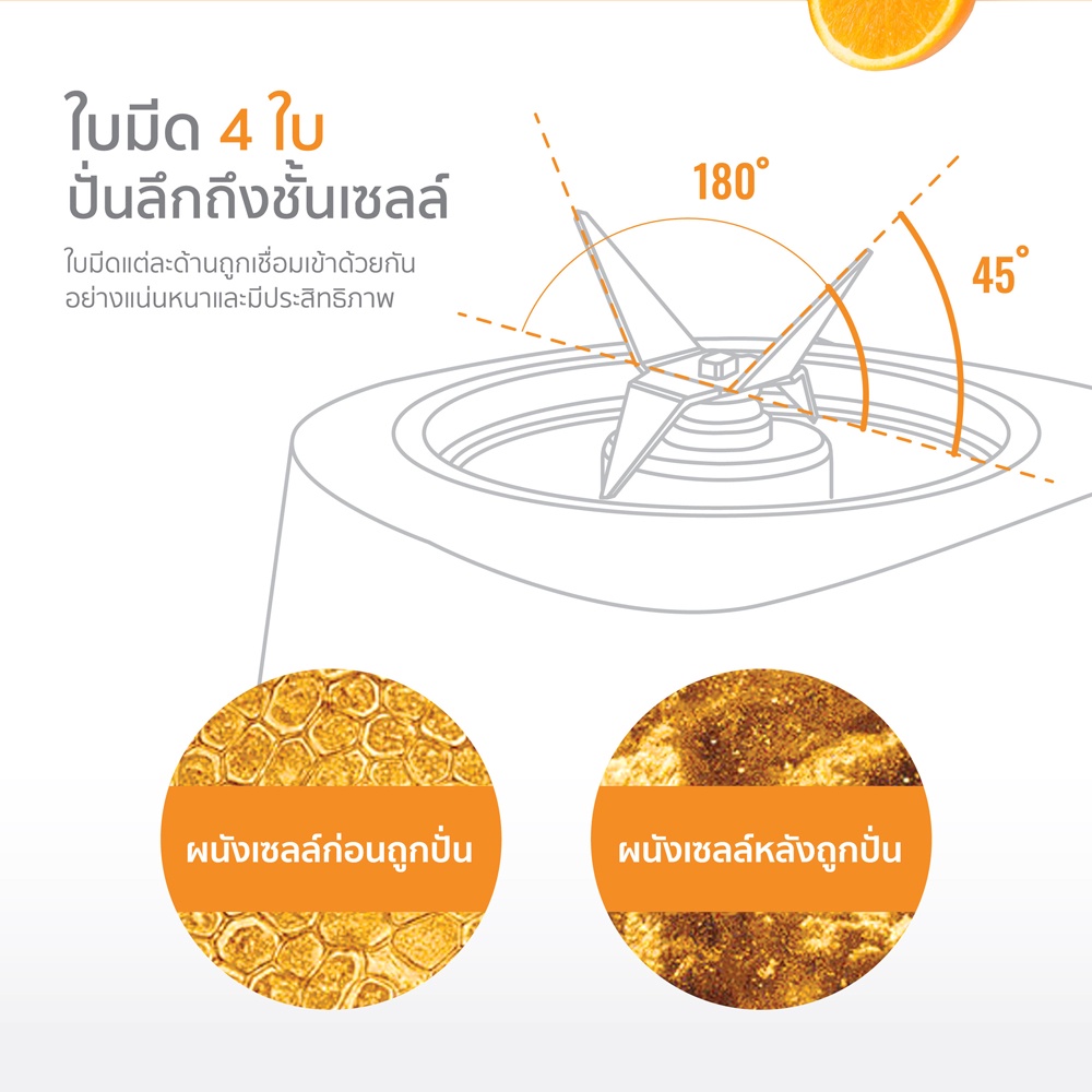 คำอธิบายเพิ่มเติมเกี่ยวกับ Alectric เครื่องปั่นน้ำผลไม้ ระบบสุญญากาศ รุ่น BM2 - รับประกัน 3 ปี