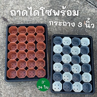 สินค้า ถาดไดโซะ ถาดทึบ ถาดรู+กระถางต้นไม้ 3 นิ้ว 24 ใบ