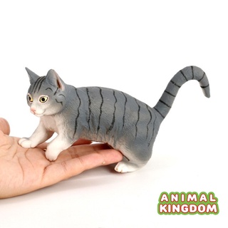 Animal Kingdom - โมเดลสัตว์ แมว เทา ขนาด 17.50 CM (จากหาดใหญ่)